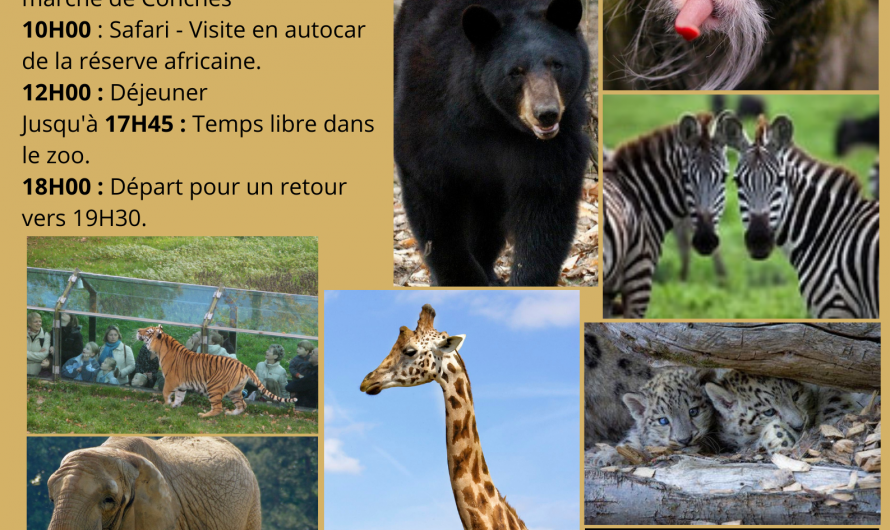 Sortie en famille : Zoo Safari de Thoiry.