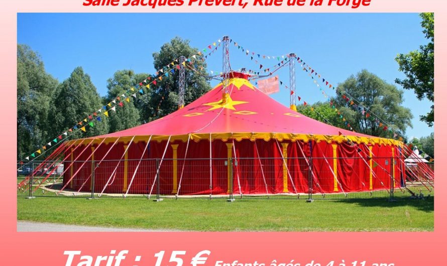 Stage Cirque