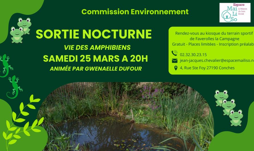 SORTIE NOCTURNE VIE DES AMPHIBIENS