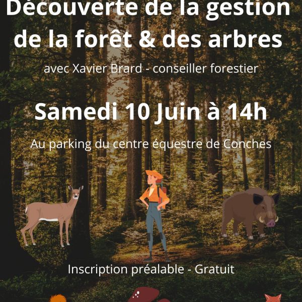 Découverte de la gestion de la forêt et des arbres