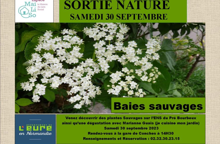 Sortie nature baies sauvages 2023