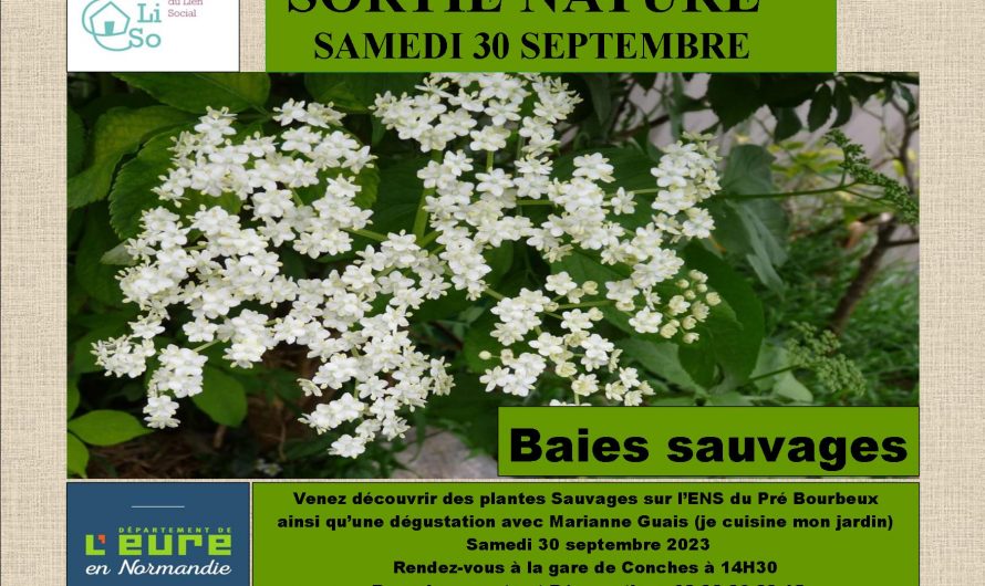 Sortie nature baies sauvages 2023