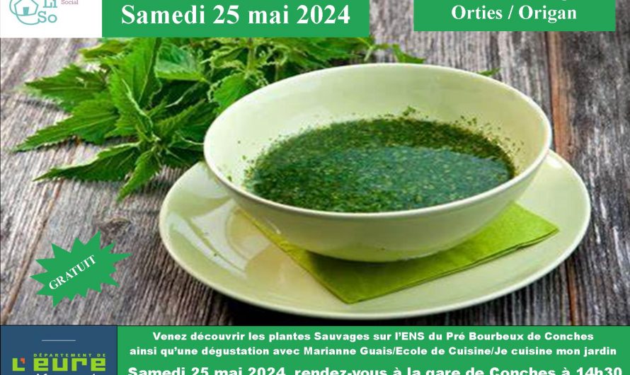 Info sortie nature découverte des plantes sauvages + Dégustation samedi 25 Mai 2024 Espace MaiLiSo