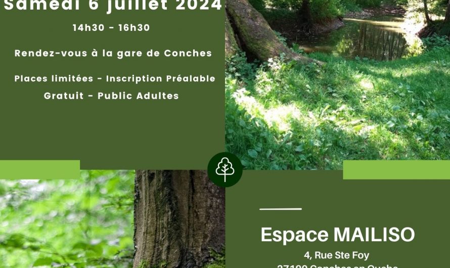 Info balade Sophro’Nature samedi 6 juillet 2024 Espace MaiLiSo