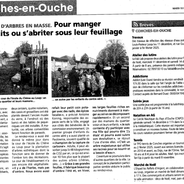 Pour manger leurs fruits ou s’abriter sous leur feuillage