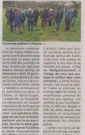 L’art de l’élagage