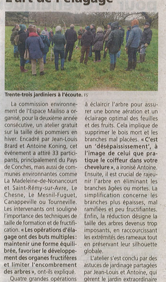 L’art de l’élagage