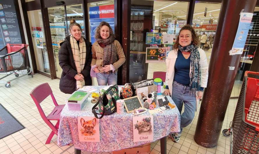 Collecte solidaire pour les animaux à Conches-en-Ouche #11