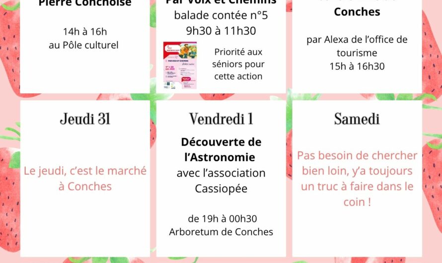 Les idées du vendredi, ça vous dit ?