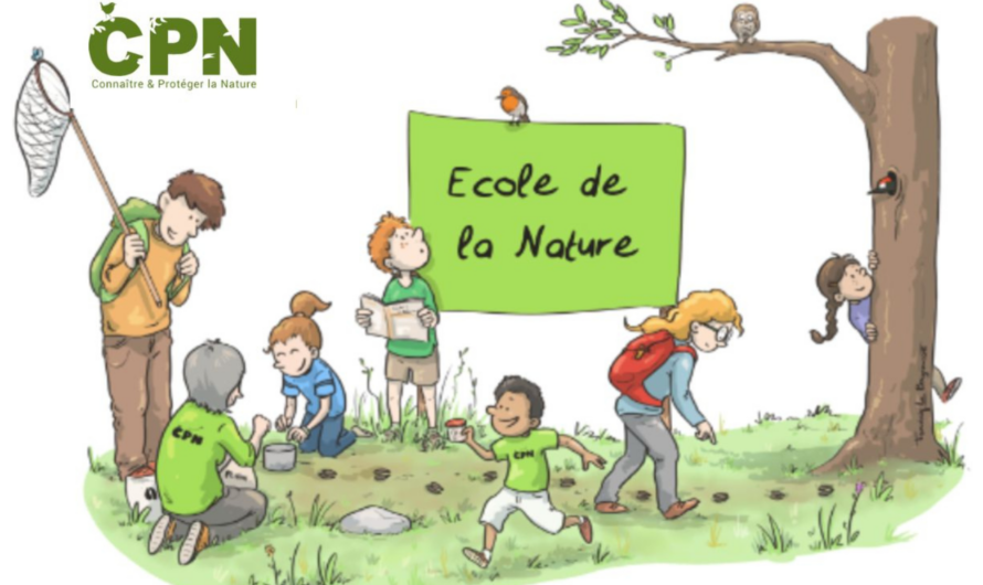 Club Nature