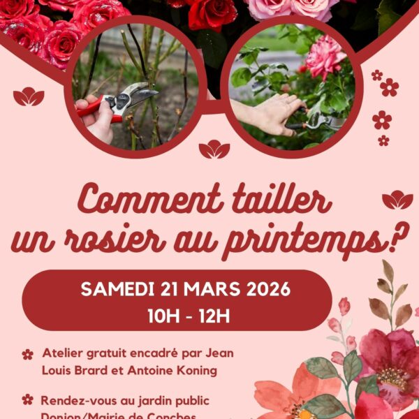 Atelier taille des rosiers au printemps