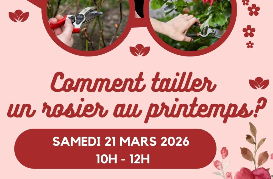 Atelier taille des rosiers au printemps