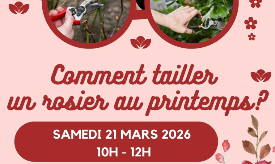 Atelier taille des rosiers au printemps