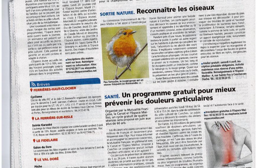 Reconnaître les oiseaux