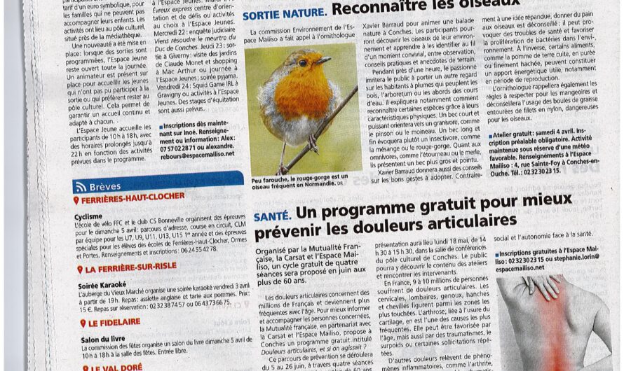 Reconnaître les oiseaux